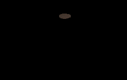 Анимация деформирования куска плоскости в поверхность тора